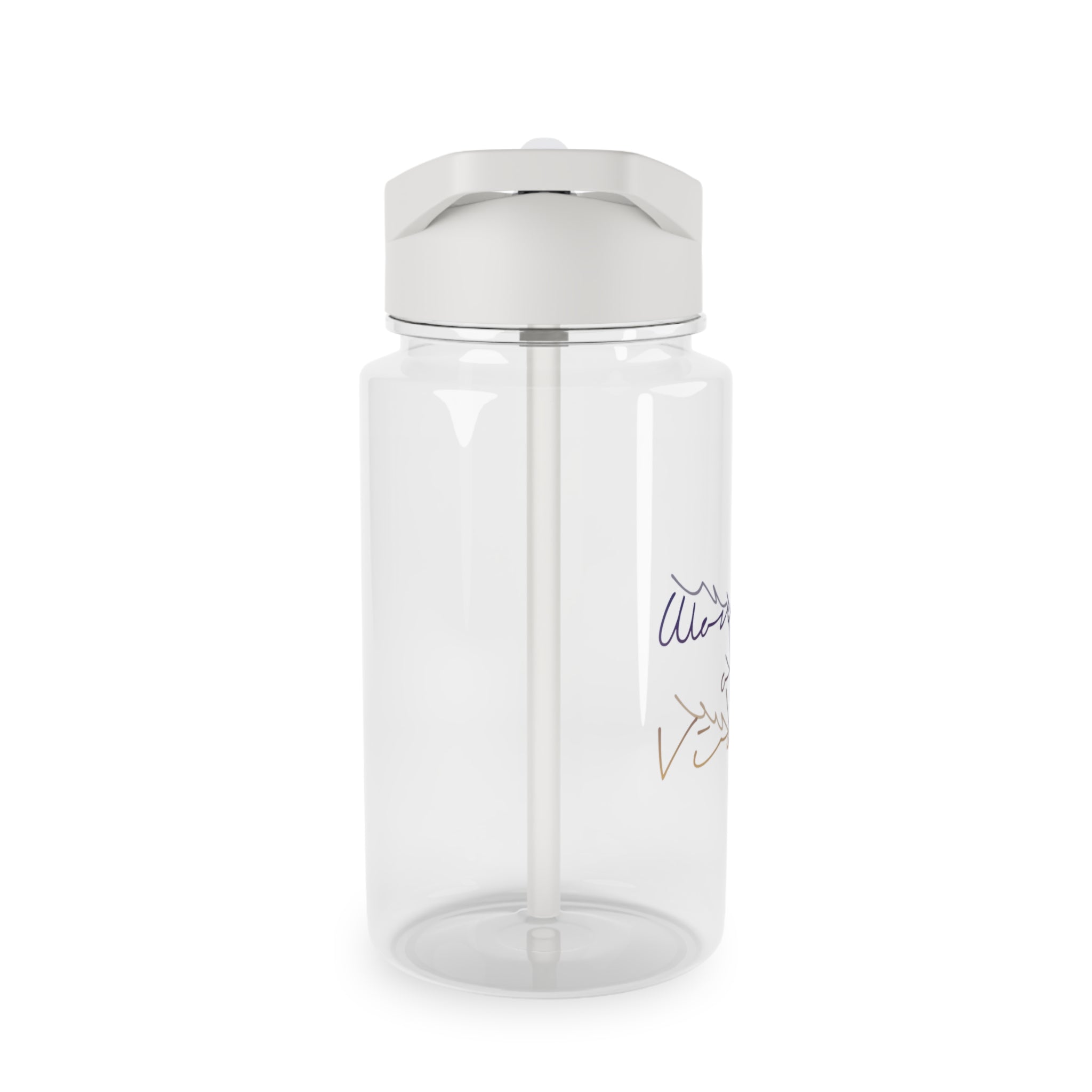 Woman of Virtue Stylish Water Bottle