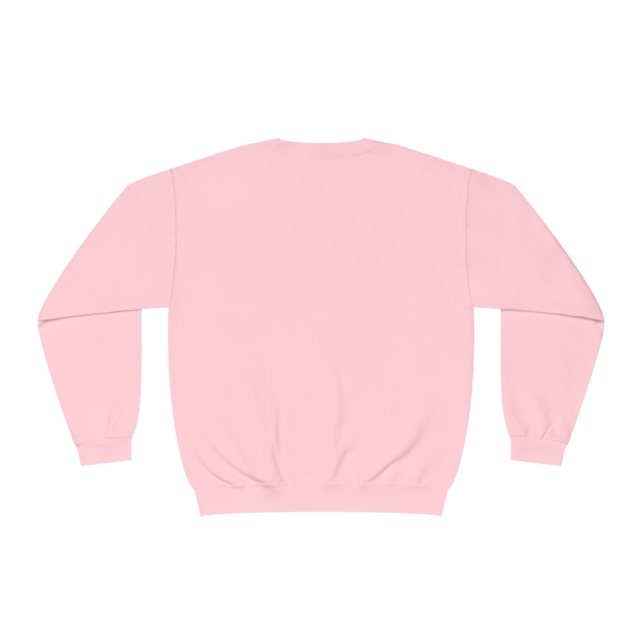 God's Chosen 1 Peter 2:9 Sweatshirt | Scripture Faith Sweatshirt